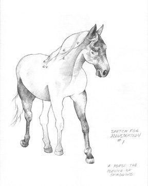 Pencil Sketch ~ Horse